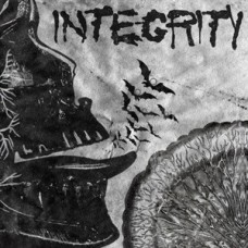 Integrity (orange ltd 100) - Suicide Black Snake