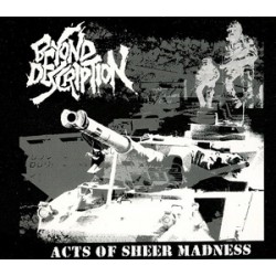 Beyond Description - Acts of Sheer Madness