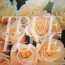 True Love - A Floral Note (orange)