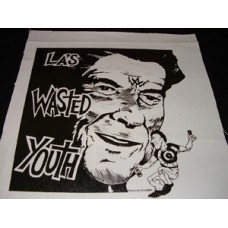 Wasted Youth Reagan's In shi -