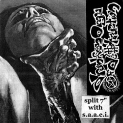 Drunken Orgy Of Dest./SAAEI - Split