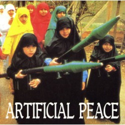 Artificial Peace - Outside Looking In