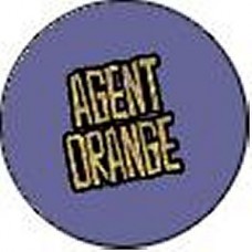 Agent Orange "Bitchin Summer" -