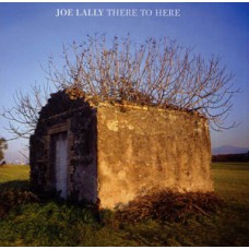 Joe Lally (Fugazi) - There to Here