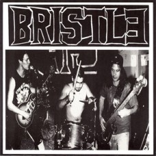 Bristle - The System