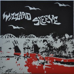 Wizard Sleeve - Mommy's Little Baby / Pterodactyl Meltdo