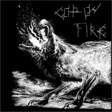 Cop On Fire - Discography