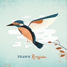 Prawn - Kingfisher