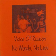Guilt, The - Voice of Reason