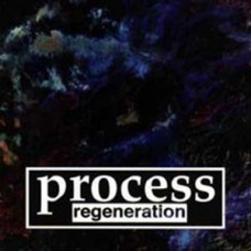 Process - Regeneration