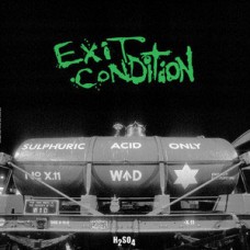Exit Condition - H2S04 (green wax)