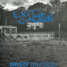 Exit Condition - Days of Wild Skies (blue wax)
