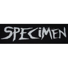 Specimen "words" patch -