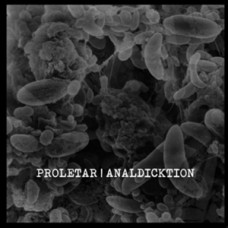 Proletar/Analdicktion - split