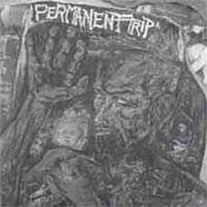 USED PERMANENT TRIP - S/T