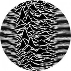 Joy Division "Unk" slipmat -