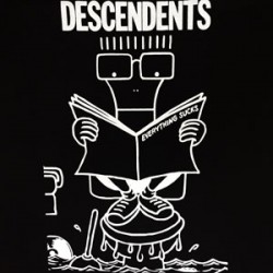 Descendents Everything tsht -