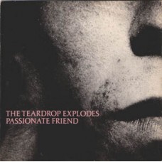 Teardrop Explodes - Passionate Friend
