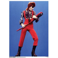 David Bowie 24x36 poster -
