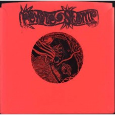 Feast Upon Cactus Thorns/Peyot - split