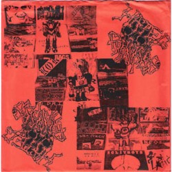 Hated Principals/Irritate - Split