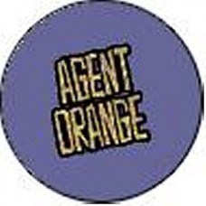 Agent Orange ""Bitchin Summer"" -