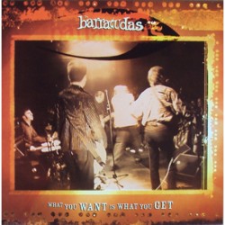 Barracudas - What You Want is What Barracudas - What You Want is What