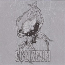 Coliseum - True Quiet (green wax ltd 500) Coliseum - True Quiet (green wax ltd 500)