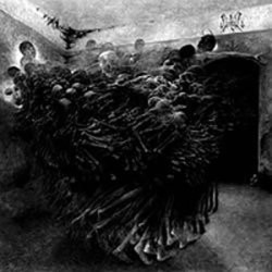 Wolok - Servum Pecus Wolok - Servum Pecus