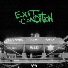 Exit Condition - H2S04 (green wax) Exit Condition - H2S04 (green wax)
