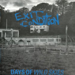 Exit Condition - Days of Wild Skies (blue wax) Exit Condition - Days of Wild Skies (blue wax)
