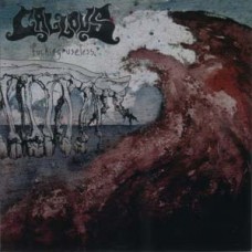 Callous - Fucking Useless Callous - Fucking Useless