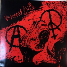 Vermis Sum - 3 song flexi