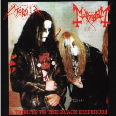 Mayhem/Morbid - split