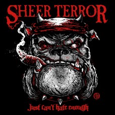 Sheer Terror - Judt Can't Hate Enough