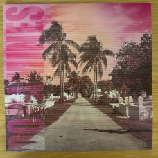 Dopamines - 80/20