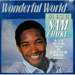 Sam Cooke - Wonderful World The Hits CLEAR