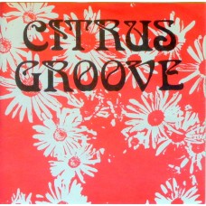 Citrus Groove - Hit The Ground