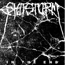 Radiation/Shitstorm - Split