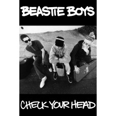 Beastie Boys "Check Your" Poster -
