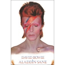 David Bowie "Aladdin" Poster -