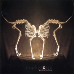 Trophy Scars - Goodnight Alchemy