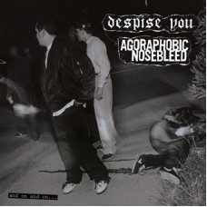 Despise You/Agoraphobic Nosebl - split