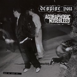 Despise You/Agoraphobic Nosebl - split