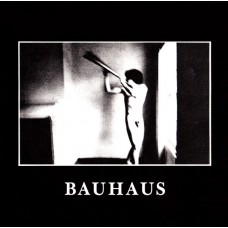 Bauhaus - In the Flat Field