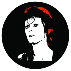 David Bowie Slipmat -