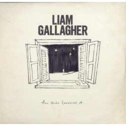 Liam Gallagher (Oasis) - All You're Dreaming Of