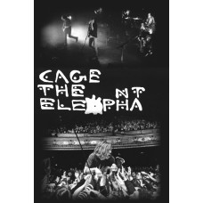 Cage The Elephant ""2 Pics"" Post -