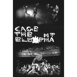 Cage The Elephant ""2 Pics"" Post -