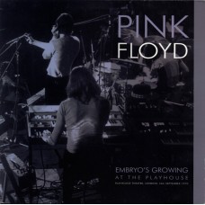 Pink Floyd - Embryo's Growing